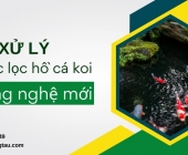 Giải pháp xử lý nước lọc hồ cá koi công nghệ mới
